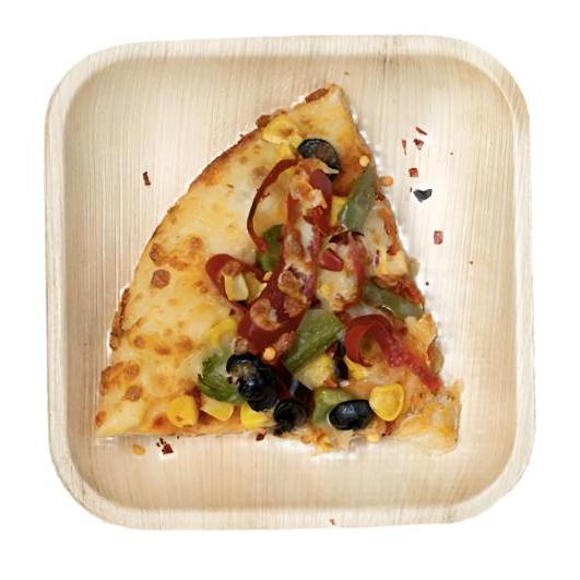 Eco-Friendly Disposable Square Plates - 2 Sizes (6 & 10") (Pack of 25 Pcs)