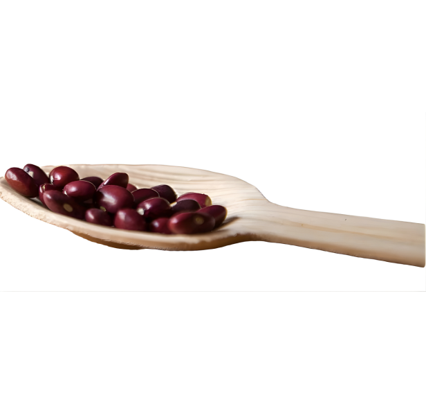 Eco-Friendly Disposable Spoons (Pack of 50 Pcs)